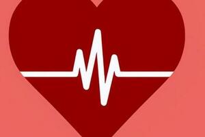 心率60次和80次，有什麼不同？什麼樣的心率更易長壽？