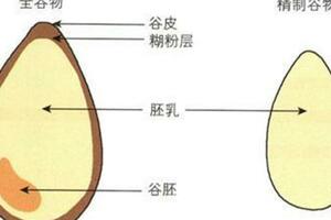 「養」出糖尿病6個習慣，很多人都愛做！逆轉糖尿病做好5點