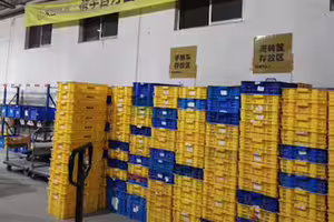 知名電商突爆大規模關倉！「數十萬供應商」慘跟著倒閉　員工送貨一半全失業
