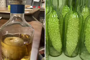 酒瓶超窄「怎麼塞進整顆蘋果？」　內行解密：很簡單