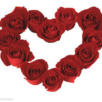 源。動力的頭貼