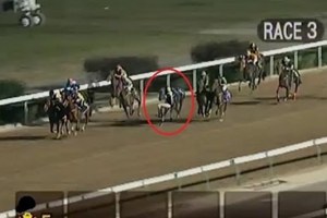 澳門騎師奧查魯墮馬後緊抱馬頸過終點?