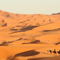 camel-trekking-in-desert-merzouga的頭貼