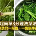  「超簡單3分鐘洗菜法」讓你的菜洗的一條蟲、一隻蝸牛都沒有，太乾淨了！