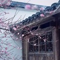 生命無需過多陪襯,不必把太多人請進生命里