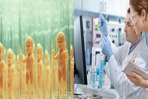 夫妻通過試管嬰兒生了小寶寶，但親子鑒定後的結果讓他們都傻眼！