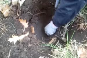 這名捷克男子正在土里挖坑，幾分鍾後竟挖出這個東西！