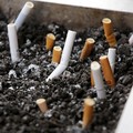 菸屁股也能再利用 澳洲學者想出「菸蒂磚塊」節能愛地球