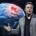 讓人工智慧為人類解決問題：Tesla總裁創業結合人腦與電腦，將有望治療腦神經疾病