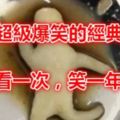 50個超級爆笑的經典段子！看一次，笑一年！