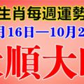 十二生肖每週運勢播報（10月16日—10月22日）