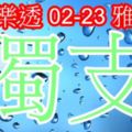 琪大樂透2018/02/23獨支版路公開新年快樂開工大吉