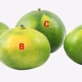 心理測試：哪個橘子最酸，測出你的性格弱點