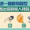 佔卜：選一個動物圖型！看出你的驚人特質！