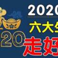 吸金能力超強！2020年有大富貴的六大生肖，註定發達一整年