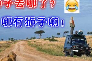 即將發生的一場場悲劇，讓我們啞然失笑~!