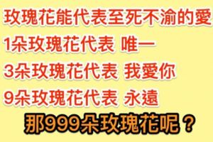 情人節到花店買美麗花束，老闆熱心解釋了「玫瑰朵數」代表的意義，於是最後向老闆訂購了999朵玫瑰，竟然是這個意思？！