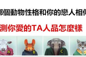 哪個動物性格和你的戀人相似，測你愛的TA人品怎麼樣