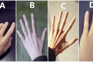 心理測試：以下4隻手，從中選一隻，測你是貧窮命還是富貴命