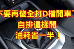 不要再傻全打D檔開車了，自排這樣開，油耗省一半！