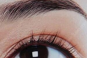 心理測試：三種眉毛，哪一種最像你？測你這輩子是什麼命