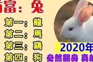 2020年財運最好的生肖，必然翻身，真的靈！