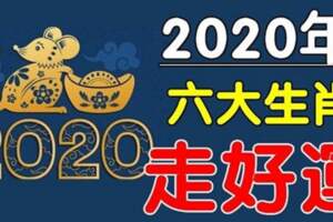 吸金能力超強！2020年有大富貴的六大生肖，註定發達一整年