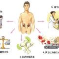 從「頭髮」就能三秒看出你的「腎臟」好不好！「少年白」原來代表著.....