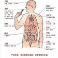 放屁很臭的人一定要清除的體內13大毒素