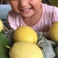 小女孩雙手玩檸檬 竟殘廢好幾個月！