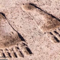 1米長大腳印 敘利亞神廟發現或揭金字塔之謎