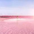 墨西哥驚艷「粉紅湖」，全世界都被這絕美的湖美醉了