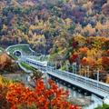 這個秋天從長春出發！東北最美高鐵帶你逛遍吉林省內7站高顏值「天堂」 