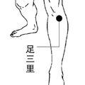 調養脾胃是中醫的拿手活，這5個穴位一定記准了