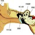 預防耳鳴 記住6種方法 還耳朵清凈舒適！