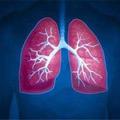 營養師：秋季肺部最容易受傷害，少做3件傷肺事，多吃3種養肺食物