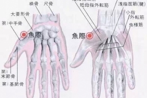 心臟不好的人手掌有一個地方要經常按一按，冬天更要多按！