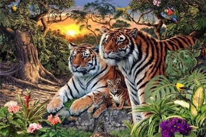 猜一猜畫中共有幾隻老虎?
