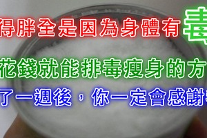 又變胖了全是因為你身體有毒！這招一毛都不用花就能瘦！