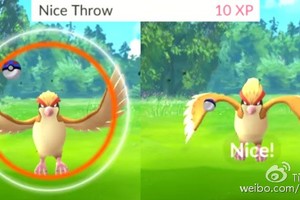 【Pokemon GO】 百分百捕捉精靈的方法