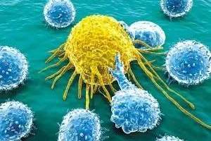 癌細胞偏愛10個字，原來我們一直在餵養體內「癌細胞」