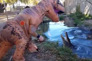 驚險！男子穿恐龍裝挑釁鱷魚 驚險畫面錄像十分驚險...