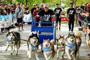 「這是我們的約定！」癌末愛犬「再也跑不動」無法參加雪橇賽，直接「一把抱起」走完全程...(淚崩)