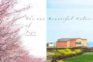 The Colors of Jeju：濟州島最動人的兩種顏色，你看過嗎？