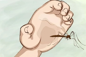 【生活百科】天然又健康的12個驅蚊方法，讓蚊子不敢接近你！