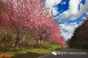台灣十大最著名的觀光農場 台灣的春天你見過麼?