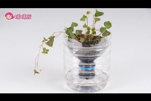 DIY自動補水盆栽