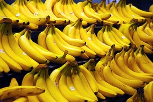 香蕉竟然是澱粉！還超難消化！吃了幾年就被騙了幾年！