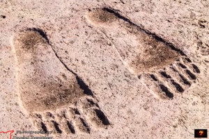 1米長大腳印 敘利亞神廟發現或揭金字塔之謎