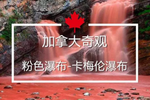 太酷了！加拿大國家公園裡有條粉色瀑布